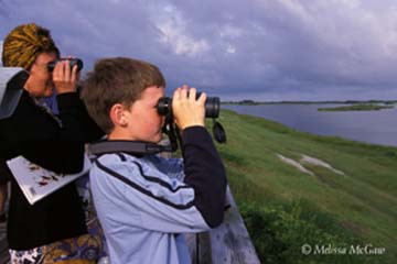 Birders watching birds through binoculars