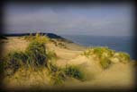 Sand dunes at Indiana Dunes National Lakeshore, Lake Michigan, Indiana