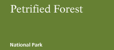 Petrified Forest National Park