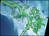 Mississippi River Delta