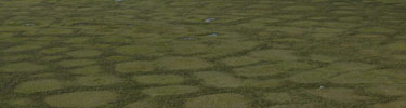 Green grass with polygon patterens embossed on the landscape, a permafrost feature.