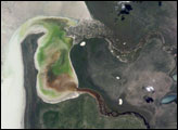 Oshigambo River and Etosha Pan, Namibia