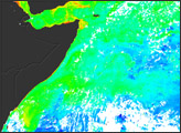 Plant Productivity in the West Indian Ocean