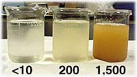 Picture of three glass beakers with water with turbidities of 10, 200, and 1500.