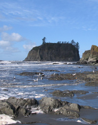 Sea stacks off the coast of Ruby Beach