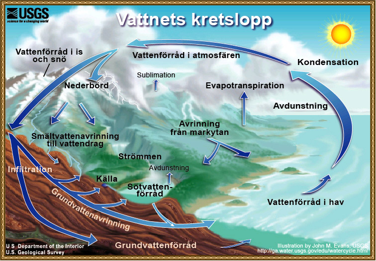 Diagram över vattnets kretslopp. 