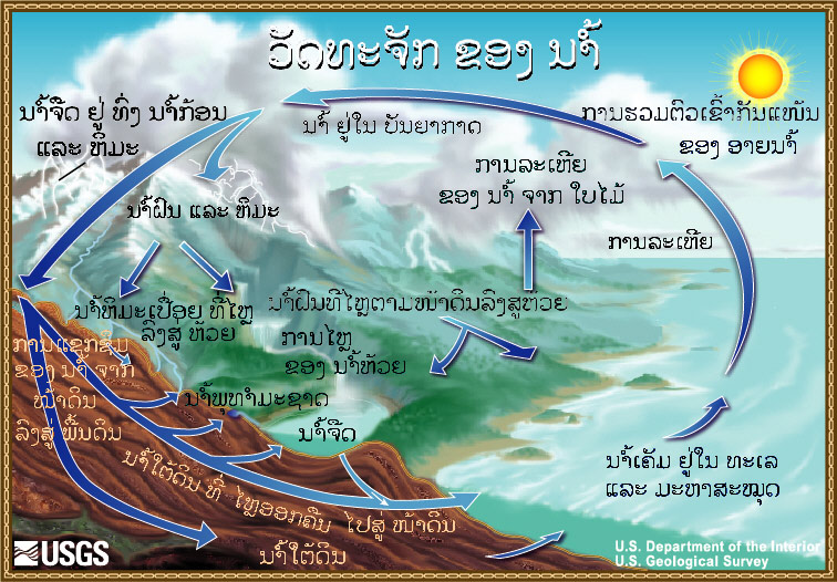 Diagram of the water cycle. 