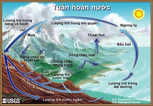 Sơ đồ vòng tuần hoàn nước. 