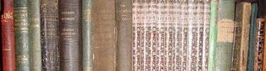 Books in the park collection at the McLoughlin House