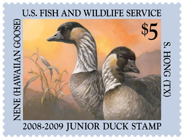 2008-2009 Junior Duck Stamp by Seokkyun Hong