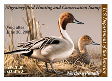 2008-2009 Duck Stamp