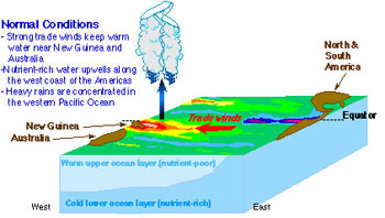 Water warmth in normal conditions