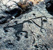 (NPS photo) Hawaiian petroglyphs at Hawaii 
        Volcanoes NP.
