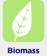 Biomass