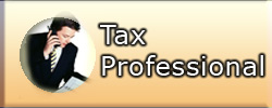 Tax Professional