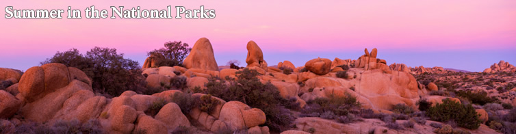 Photo of Joshua Tree National Park.