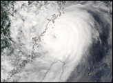 Typhoon Saomai