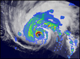 Formation and Decay of Hurricane Bertha