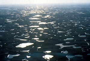 arial photo of North Dakota wetlands