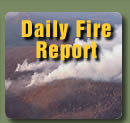 Daily Fire Report