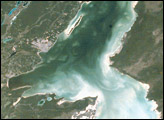 Chetumal Bay Coral Reef