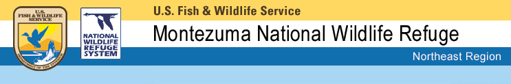 US Fish & Wildlife Service: Montezuma National Wildlife Refuge