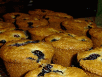 Blueberry muffin recipe