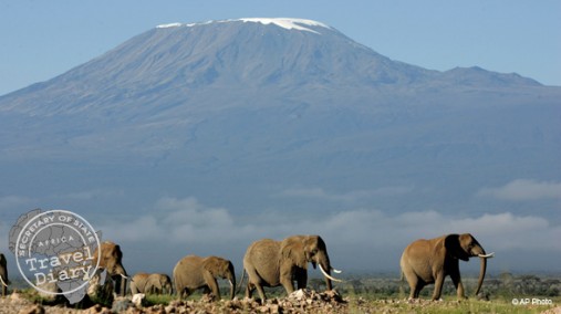 Elephants in Amboseli Park in Kenya, with Mt. Kilimanjaro in the background, May 21, 2006. [AP]
