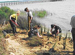  image of people working near a shoreline 