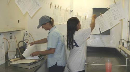 image of two women hanging papers to dry