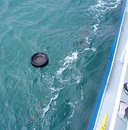 image of tire floating in water taken from side of ship