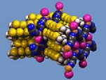 Organic superconductor with the highest Tc k-(ET)2Cu[N(CN)2]Cl