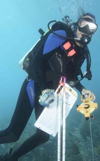 image of scuba diver