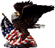 Eagle with US Flag