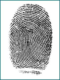 fingerprint