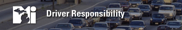 Driver Responsibility