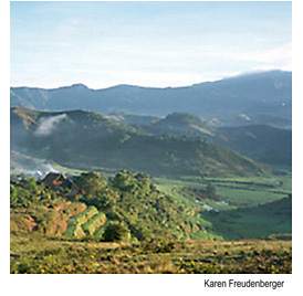 Terrace farming near mountains in Madagascar. Photo Source: Karen Freudenberger