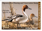 75th  Anniversary Duck Stamp