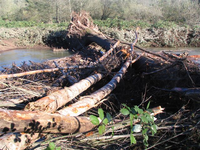 Kilchis Log Jam from 2008