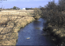 Photo of a stream with adjacent land that has been enrolled in the Conservation Reserve Program (CRP). Click photo for full view.