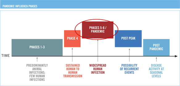 Pandemic influenza phases