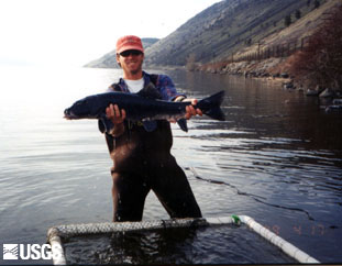 Biologist holding female Lost River sucker (Deltistes luxatus)