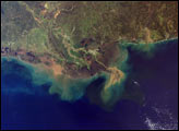 Mississippi River Sediment Plume