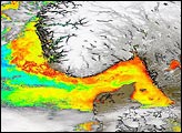 Toxic Bloom off the Coast of Norway