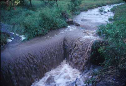 Photograph 
courtesy of Natural Resources Conservation Service, Lawrence, Kansas.  Location and date of 
photograph unknown.