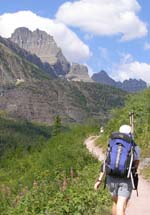 Iceberg Glacier trail, GNP..