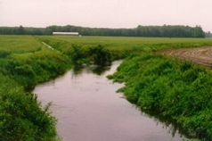 Photo of stream in foreground with a chicken house in the distance