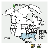 Distribution of Eryngium yuccifolium Michx. var. synchaetum A. Gray ex J.M. Coult. & Rose. . 