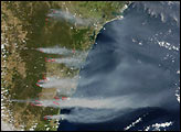 Severe Bush Fires Near Sydney, Australia