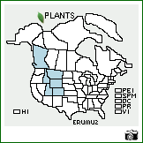 Distribution of Eriogonum umbellatum Torr. var. umbellatum. . Image Available. 